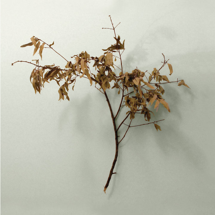 Copeland In Motion Anniversary Cover