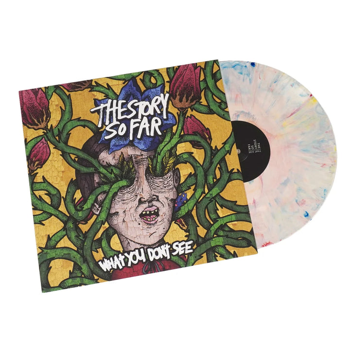 The Story So Far - What You Don't See