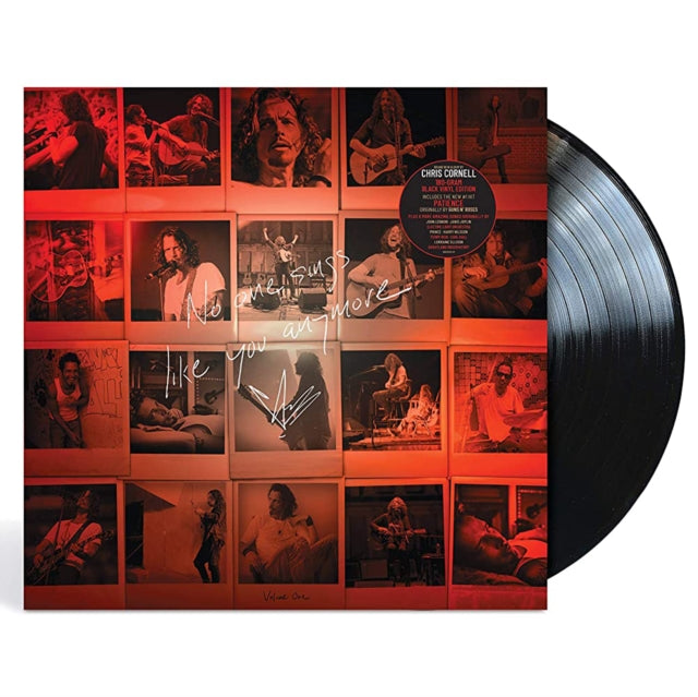 Chris Cornell - No One Sings Like You Anymore