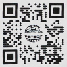 Pet Symmetry - Future Suits